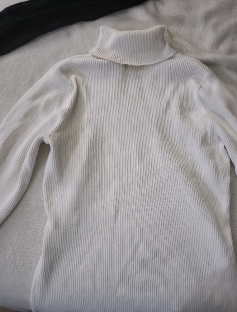 Style&co. Turtleneck sweater